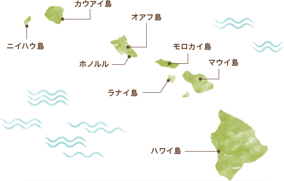 ハワイの基本情報 ハワイ不動産ならサチハワイ オープンハウスグループ